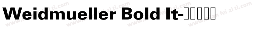 Weidmueller Bold It字体转换